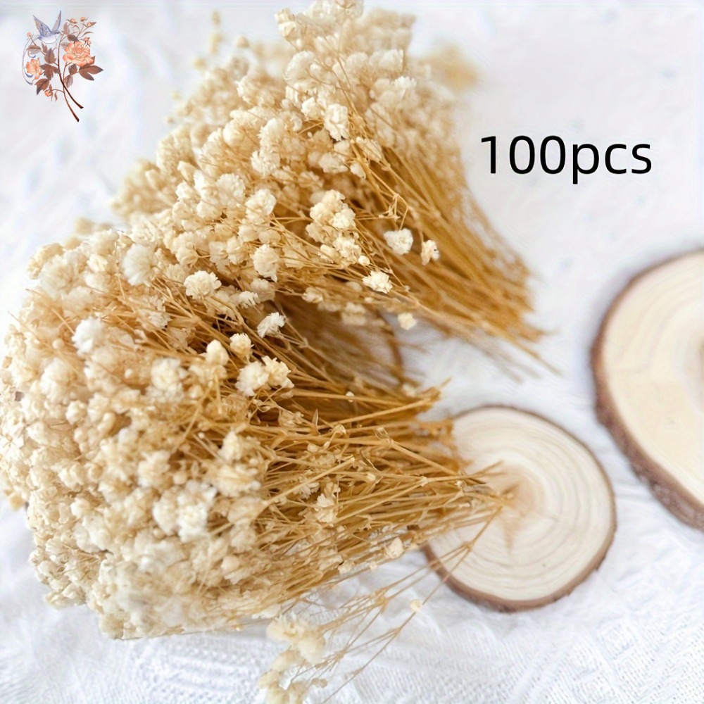100pcs Mini Dried Baby's Breat - đánh giá và giá Craft Embellishment