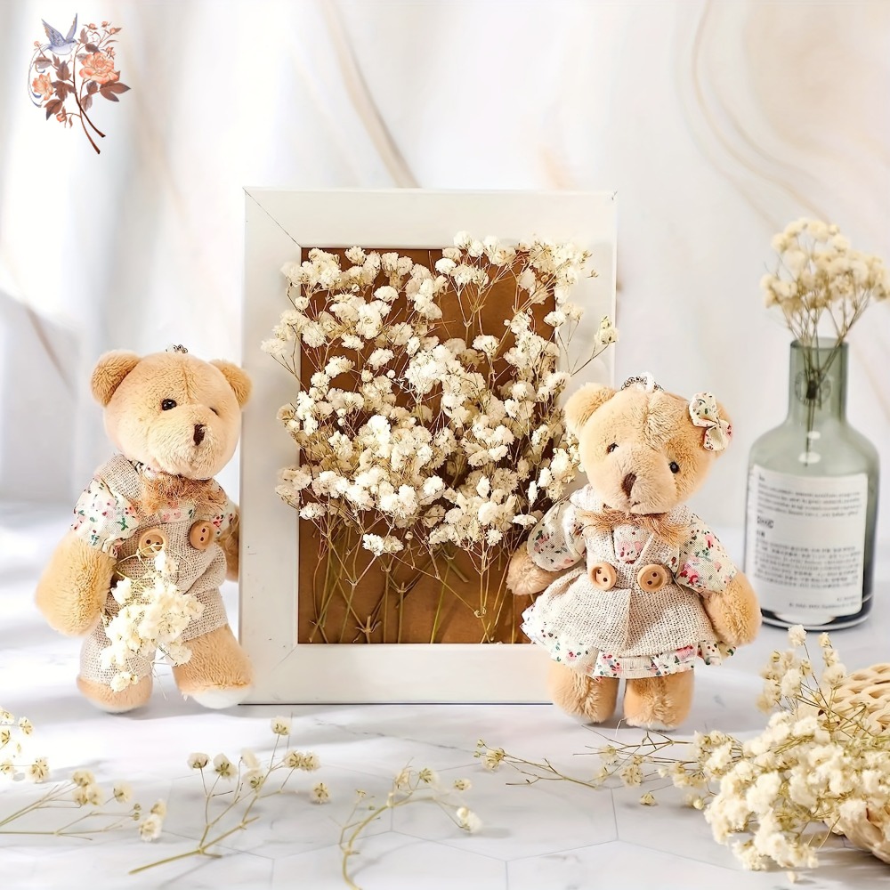 100pcs Mini Dried Baby's Breat - đánh giá và giá Craft Embellishment